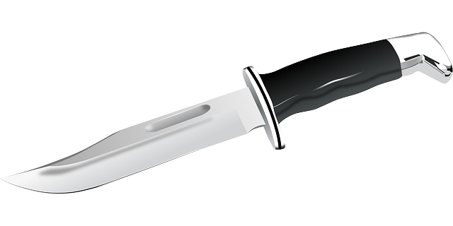 Blade Sharp Steel Cut Household Kitchen Knife  HD Free Download