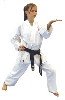 Karate Black Belt Club Program American Martial Arts Academy HD Free Download