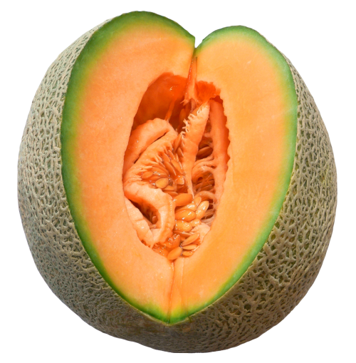 Melon Cut PNG Image   HD Free Download