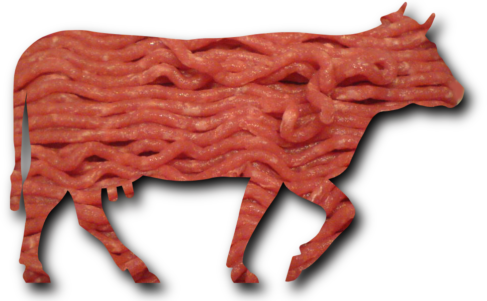 Omnivores Eat Meat Yoga School Elephant Journal  HD Free Download