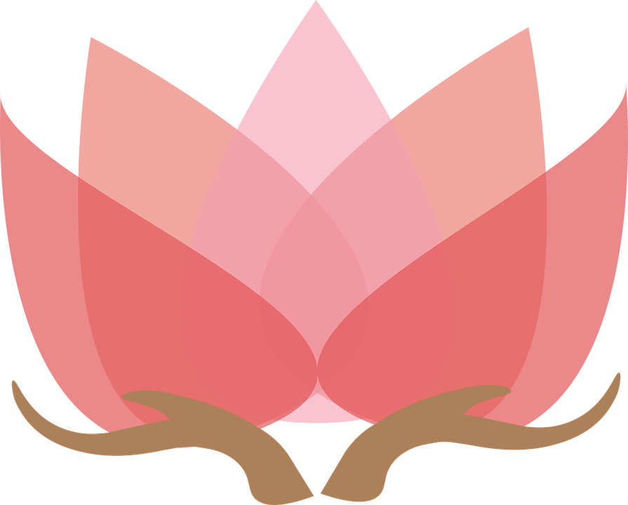 Lotus Shape Design  HD Free Download