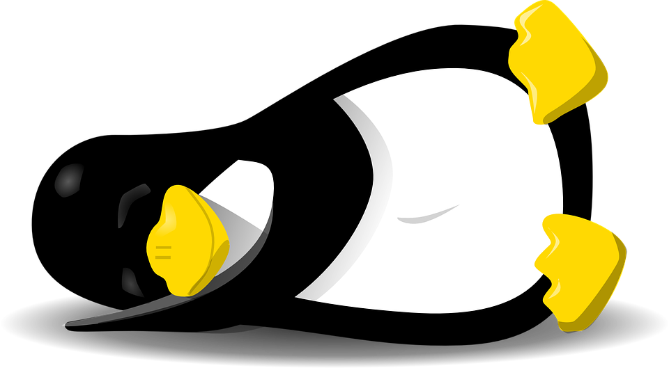 Vector Graphic Penguin Linux Sleeping Animal  HD Free Download